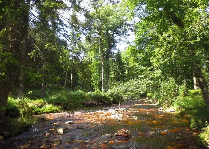 מלון Brunnenhof אאכן