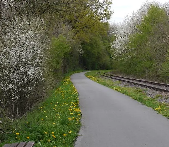 Brunnenhof מלון 3*